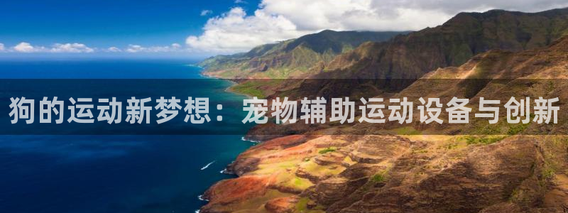征途国际平台是正规平台吗知乎：狗的运动新梦想：宠物辅