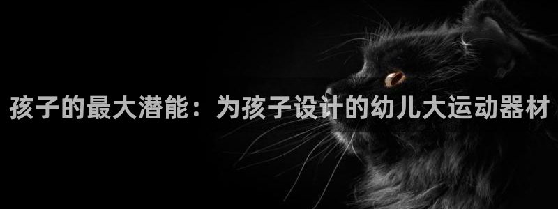 征途国际平台注册要钱吗：孩子的最大潜能：为孩子设计的
