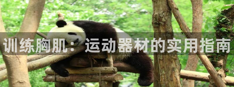 德国征途国际集团：训练胸肌：运动器材的实用指南