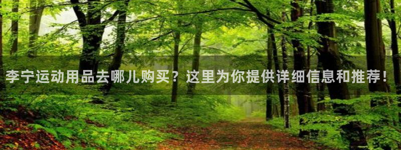 征途国际娱乐：李宁运动用品去哪儿购买？这里为你提供详