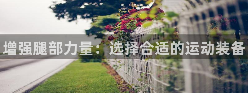 征途国际集团：增强腿部力量：选择合适的运动装备
