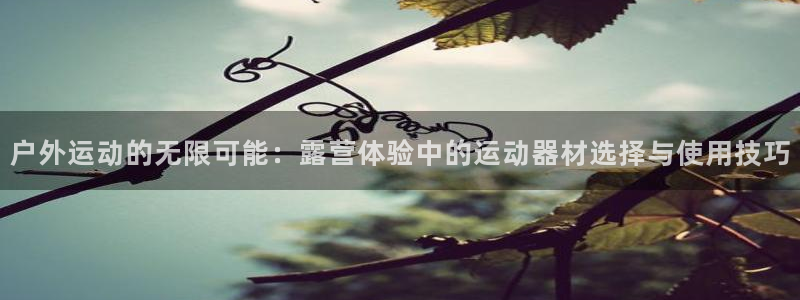 征途国际招商电话地址查询：户外运动的无限可能：露营体验中的运