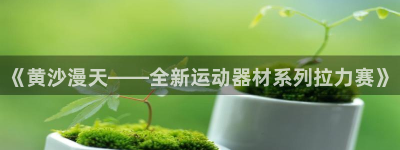 征途国际娱乐代理怎么样