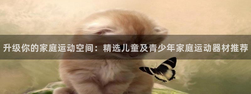 征途国际平台假的吗是真的吗：升级你的家庭运动空间：精选儿童及
