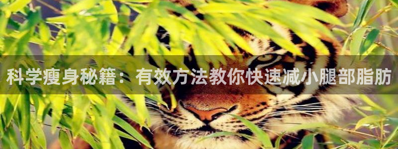 征途国际集团E.ON：科学瘦身秘籍：有效方法教你快速减小腿部