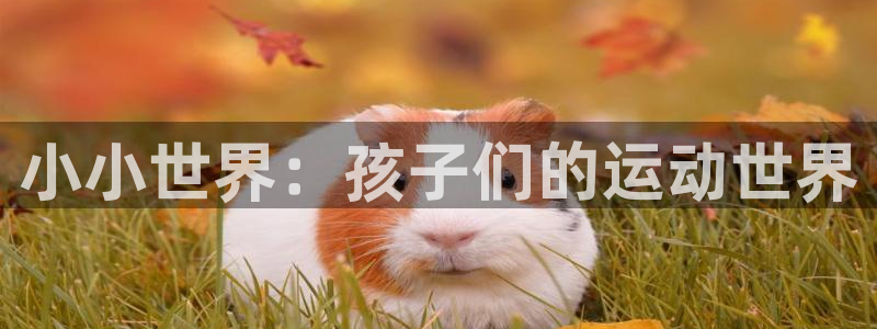 征途国际招商电话是多少号码：小小世界：孩子们的运动世界