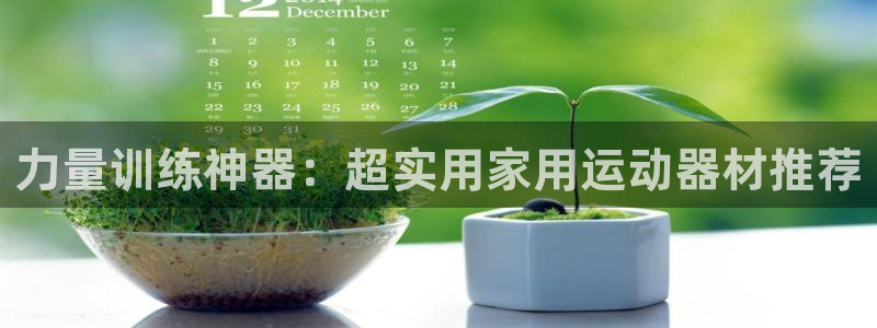 征途国际代理：力量训练神器：超实用家用运动器材推荐