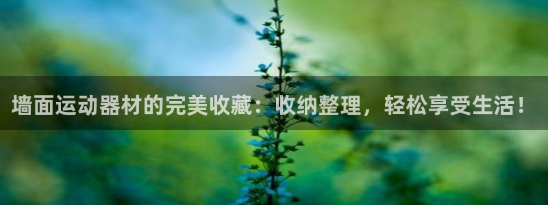 征途国际软件：墙面运动器材的完美收藏：收纳整理，轻松享受生活