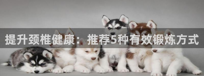 征途国际五金厂:提升颈椎健康:推荐5种有效锻炼方式