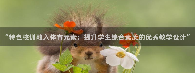 征途国际集团简介:“特色校训融入体育元素:提升学生综合素质的