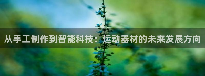 征途国际集团官网